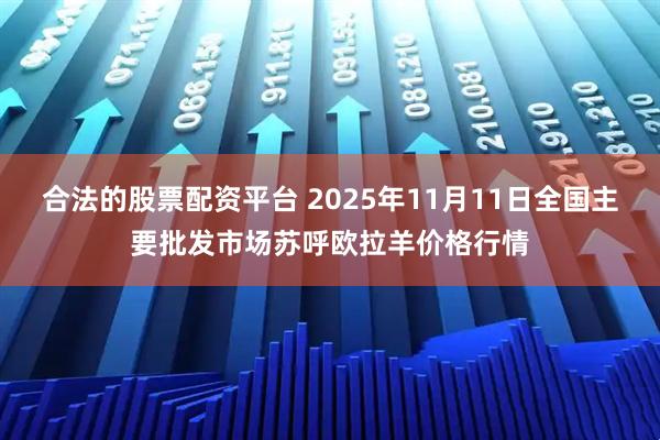 合法的股票配资平台 2025年11月11日全国主要批发市场苏呼欧拉羊价格行情